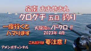 泉南 クログチ釣り これが足りないと… おおせき丸 アメンボチャンネル