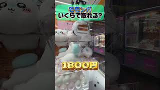 ちいかわモモンガのクレーンゲーム、取れるまでやったらお小遣いなくなった😭😭 #ちいかわ #クレーンゲーム #モモンガ #UFOキャッチャー #ゲームセンター #ハチワレ #ufoキャッチャーで取れた