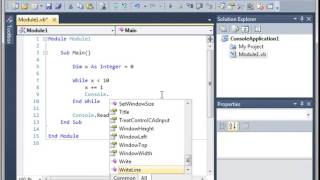 Visual Basic While loop 11