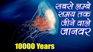 सबसे लम्बे समय तक जीने वाले जानवर | Longest Living Animals in Hindi | Seriously Strange