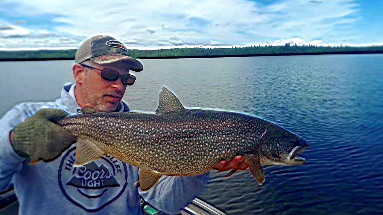 Lake Nipigon Lake Trout And Brookies - YouTube