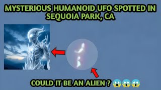 Mysterious Humanoid UFO Spotted in Sequoia Park, CA . Could it be a UFO, or something else entirely?