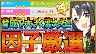 【最新版】育成で差がつく