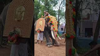 തിടമ്പ് കായട്ടിയപ്പോൾ പാപ്പാൻ ചെയ്‌തത് 👌👌❤❤ | kerala elephant love mahout❤🔥🔥