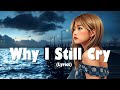 Why I Still Cry - NiExshadow (Official Music)