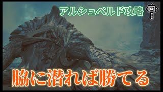 [MHWilds:OBT] ハンマーで勝つ！アルシュベルド攻略解説【モンハンワイルズ】