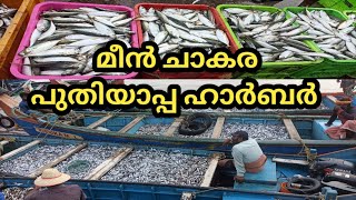 പുതിയാപ്പ ഹാർബറിലെ മീൻ ചാകര കാണാം kozhikode puthiyappa harbour Elathurfamilyvlogs