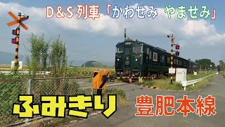 【踏切】2022年9月23日のダイヤ改正で豊肥本線を走るD＆S列車「かわせみ やませみ」内牧駅そばにて