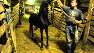 M4H06745.MP4