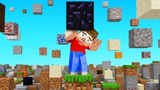 Surviving Minecraft with FALLING BLOCKS (endless)