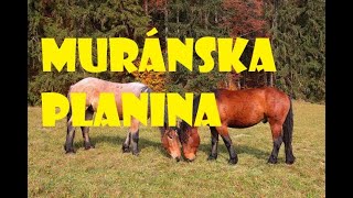 Muránska Planina   2023