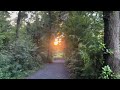 golden evening cycle ride around sechs seen platte duisburg nature sounds u0026 scenic views