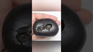 क्या है शालिग्राम पत्थर, कैसे बनता है ,क्यों पूजा जाता है #shortsvideo #shaligram #nepal