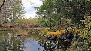 行ってみよう！熊本水遺産めぐり～小野の泉水公園～