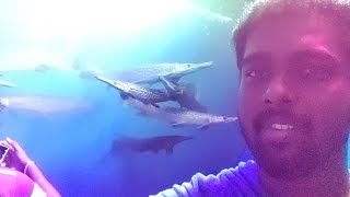 🤣FUNNY VLOG 😅 //🧜🏻‍♀️ mermaid exhibition in AVADI CHENNAI // own experience no paid promotion 😌😎‼️