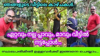 ഏറ്റവും നല്ല പ്ലാവും,മാവും വീട്ടിൽ നട്ടപ്പോൾ.. #homegarden #jackfruit #mango #fuddietraveller