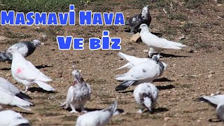 UZUN ZAMAN SONRA ARSADA KUŞ UÇURDUK! MİS GİBİ BİR HAVA İLE...