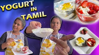 How To Make YOGURT at Home | YOGURT Recipe In TAMIL #yogurt #cooking @Ramya's FunFood ​ @Ramya Today