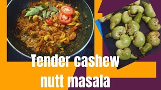 Tender cashew nutt masala curry|| പച്ച കശുവണ്ടി തക്കാളി മസാല curry||@shaji's viewbox