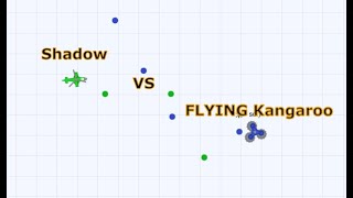 Defly.io 1v1 Tournament 4 Finale (Shadow VS FLYING Kangaroo)