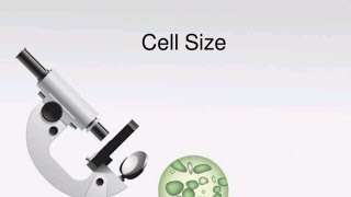 Micrometry Chapter 3: Cell Structure and Function