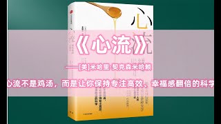 【有声书】《心流》 08 第八章 人际之乐 | Flow: The Psychology of Optimal Experience | 畅销全球28年，影响千万人的幸福秘诀