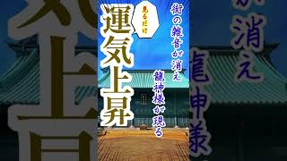 【湯島聖堂】雑音が止まり突然龍神様が3匹あらわる。見るだけで運気上昇 #shorts