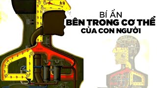 BÍ ẨN BÊN TRONG CƠ THỂ CỦA CON NGƯỜI