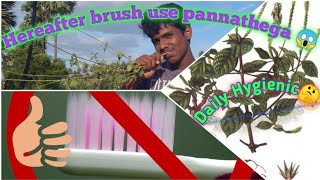 இனிமேல் இதை செய்து பாருங்கள்.... / brush pannathega.... /விவசாய தமிழன் நான்........