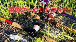 雷魚【ライギョゲーム】#1バフォ‼️ 【shore lure】