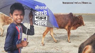 গরু সাঁতরায় নদীতে | পর্ব ০৭ | সিজন ০১ | ধরলা থেকে ব্রহ্মপূত্র | কুড়িগ্রাম | Mohsin ul Hakim