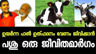 2 പശുക്കളെ വളർത്തി വീട്ടിലെ എല്ലാ ചിലവും നടത്തുന്ന ഓമനക്കുട്ടൻ ചേട്ടൻ / cow farming tips /cow/dairy