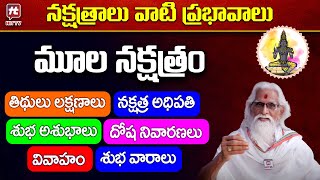 నక్షత్రాలు వాటి ప్రభావాలు - మూల నక్షత్రం | Moola Nakshatra Characteristics In Telugu