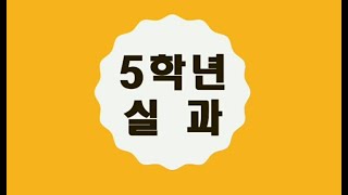 [초등 온라인 수업] 5학년 실과 / 몽정이 뭐야? 생리가 뭐야? : 나의 성장과 발달 3차시 (아동기 성적 발달의 특징)