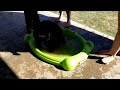 sweet bernedoodle puppies getting their toes wet