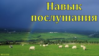 Навык послушания. П. Иванов. МСЦ ЕХБ