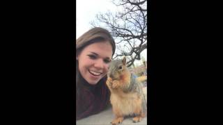 Q & A | Squirrels of IU