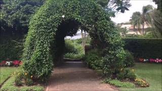 旅遊082：布里斯班 Newstead Park and Newstead House