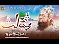 Tu Shama e Risalat Hai Alam Tera Parwana | Allama Hafiz Bilal Qadri | New Studio Kalam | Famous Naat