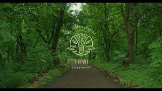 Tipai introduction - Wildlife Luxuries