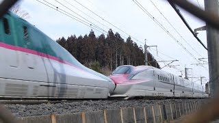 東北・山形・秋田新幹線　那須塩原・新白河駅間 11.Feb.2015 10:10-40