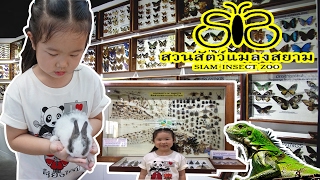 น้องการ์ตูน | มาดูสัตว์แปลกๆ ที่ พิพิธภัณฑ์แมลงสยาม เชียงใหม่ (SIAM INSECT – ZOO \u0026 MUSEUM)