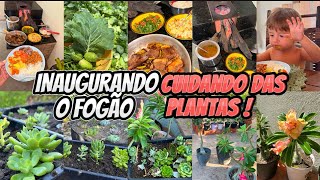 TERÇA-FEIRA +PRIMEIRAS COMIDAS BO FOGÃO A LENHA + CUIDANDO DAS PLANTAS