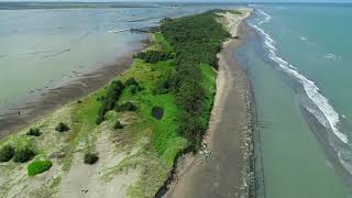 七股潟湖網仔寮汕沙洲地地貌景觀變化及海漂垃圾現況 2019/7/25