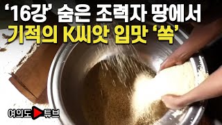 [여의도튜브] '16강' 숨은 조력자 땅에서 기적의 K씨앗 입맛 '쏙' /머니투데이방송