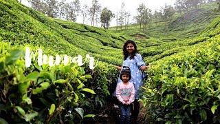 Munnar Vlog (Part 2) | 2018 | Mistletoe Homestay