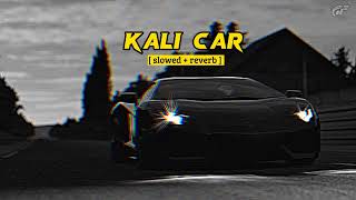 Black Route ( Slowed+Reverb ) | Hassan Goldy | Kali Car (Slowed+Reverb) | New Punjabi Song 2023|slow