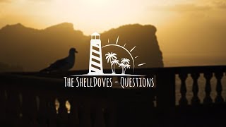 The ShellDoves: Questions |OFFICIAL VIDEO|