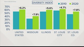 Breaking down 2020 census data