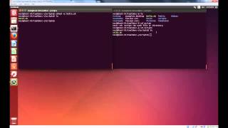 Cyber Patriot Ubuntu Basics Ep 3 Bash Scripting, grep , and kill